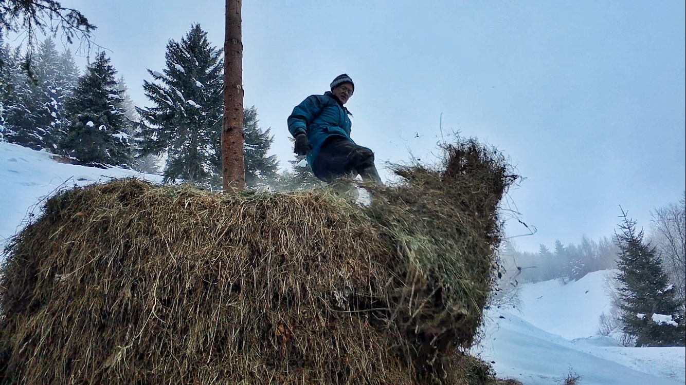 Heuziehen im Valsertal