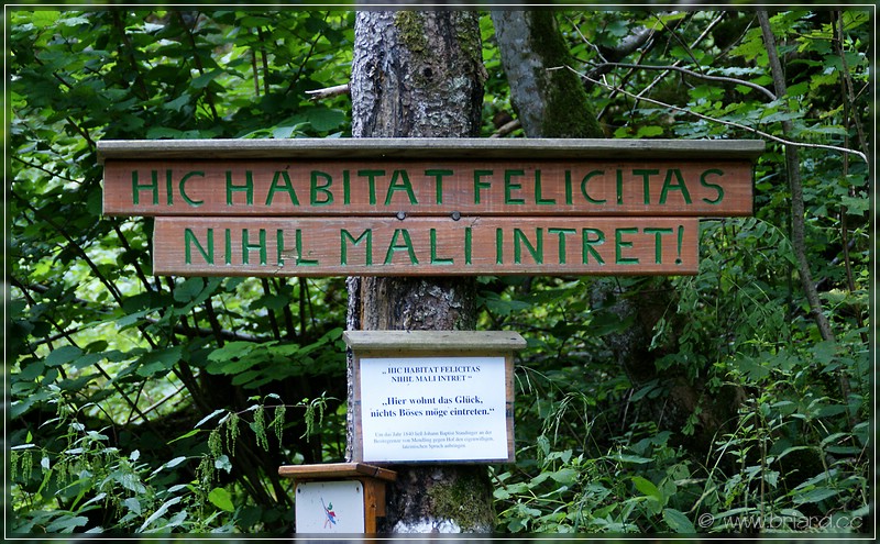 HIC HABITAT FELICITAS NIHE MALI INTRET