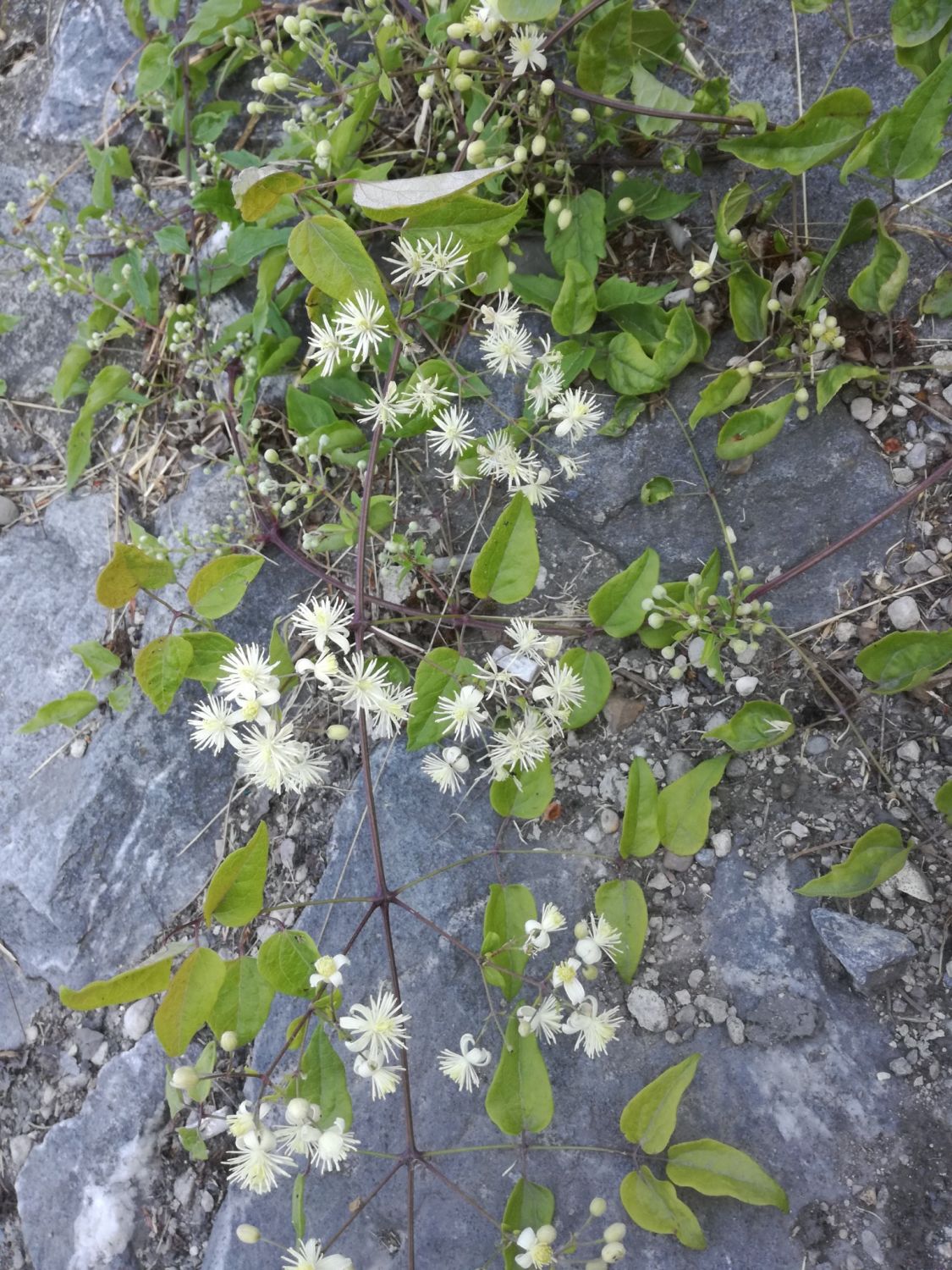 Hinter der Lärmschutzwand