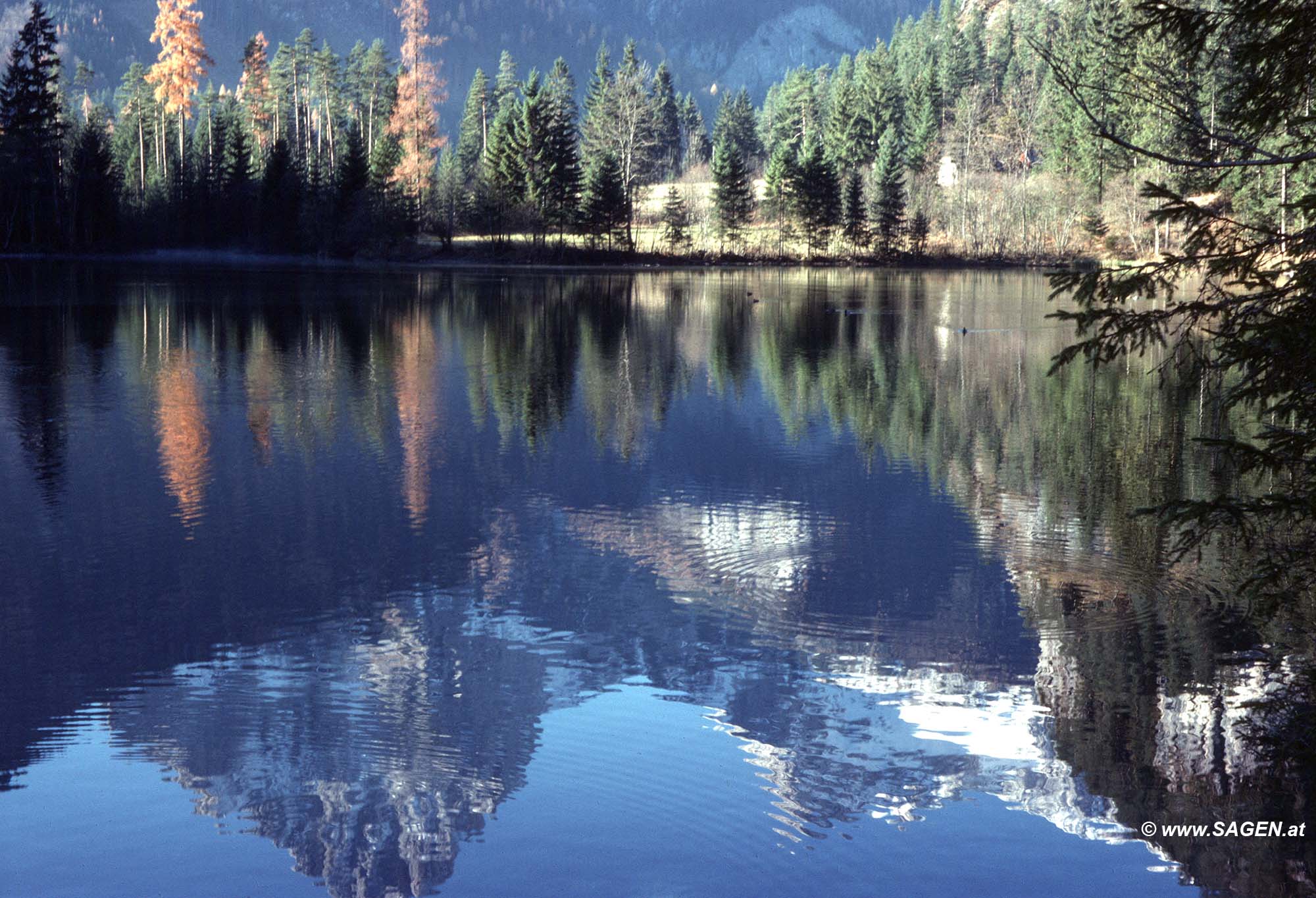 Hinterstoder, Spiegelung im Schieder-Weiher