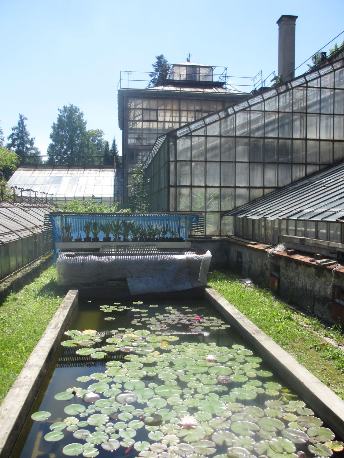 Historische Gewächshäuser, Botanischer Garten Graz