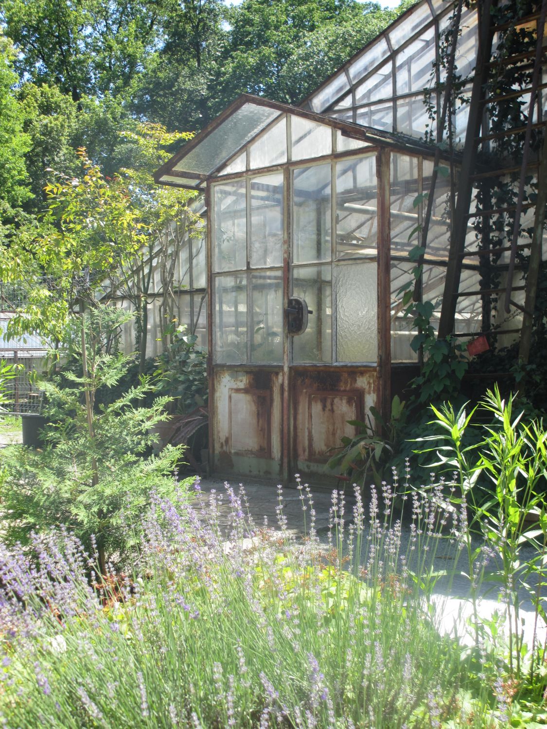 Historische Gewächshäuser, Botanischer Garten Graz