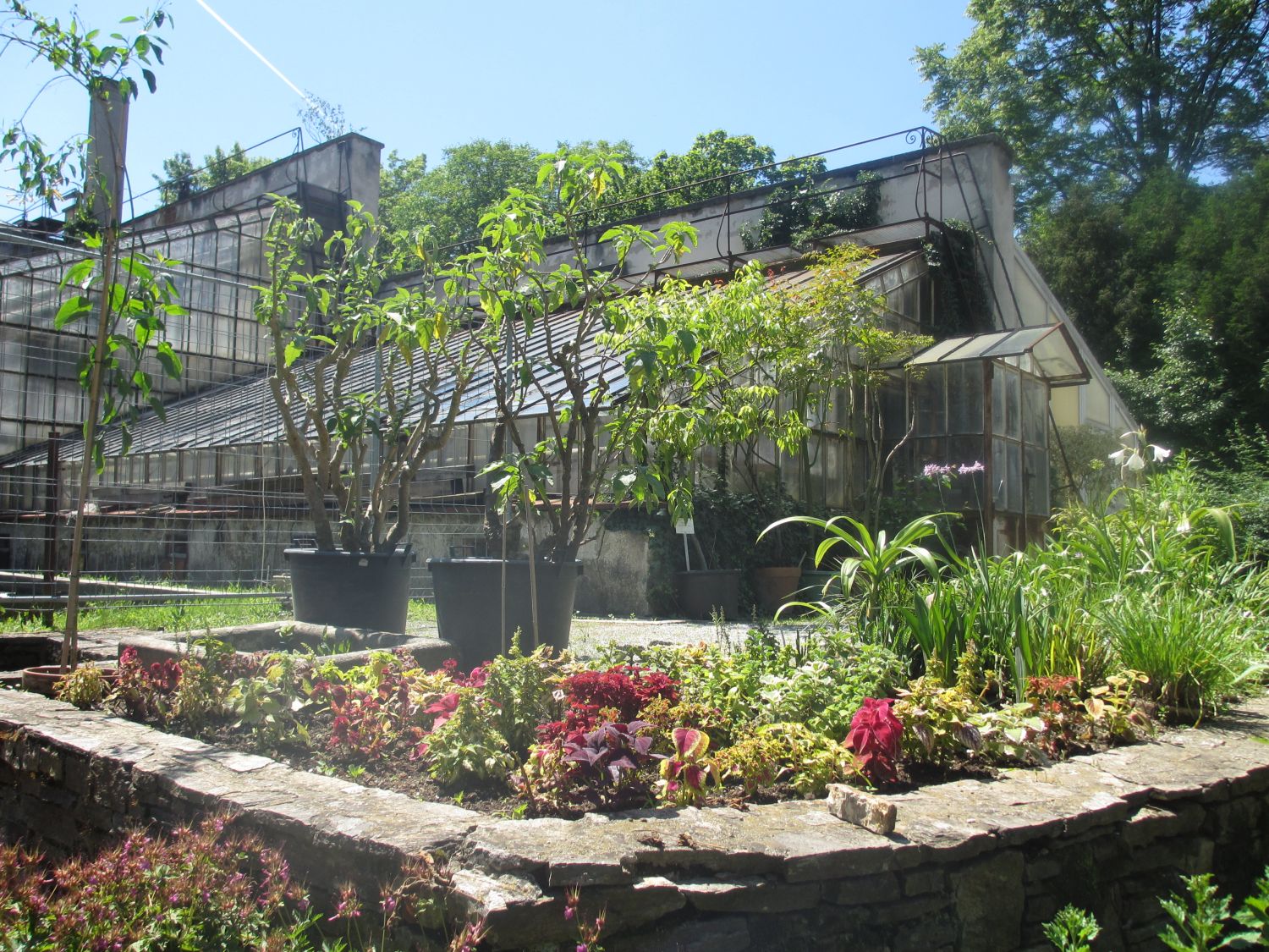 Historische Gewächshäuser, Botanischer Garten Graz