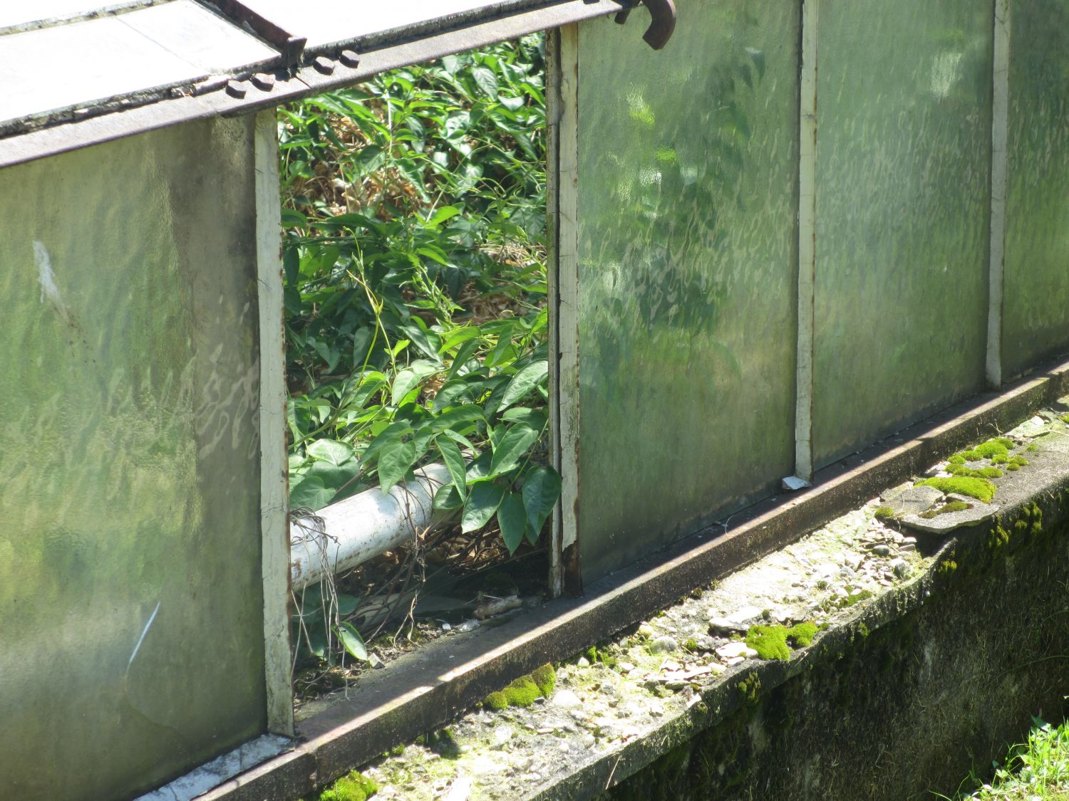 Historische Gewächshäuser, Botanischer Garten Graz