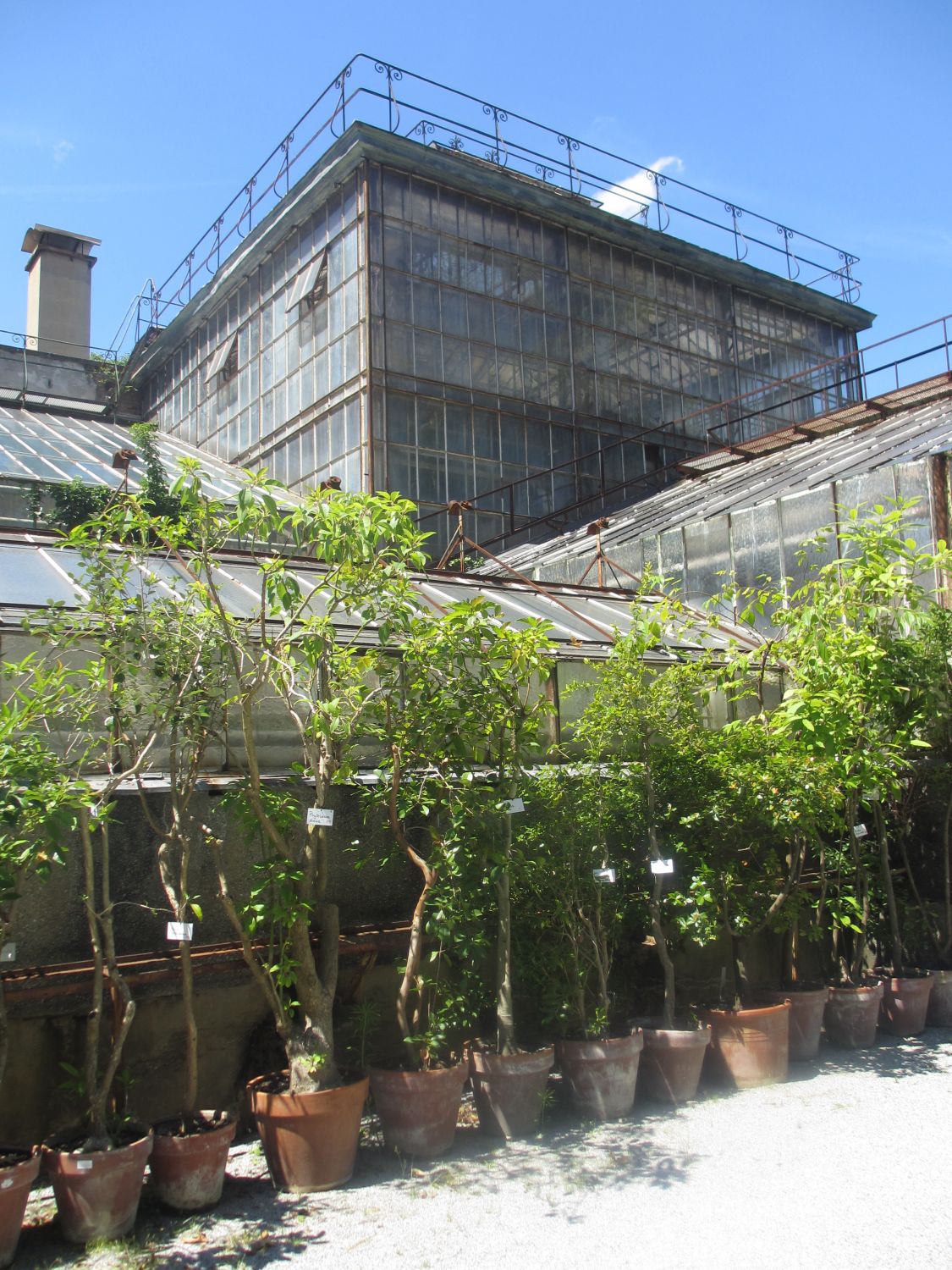 Historische Gewächshäuser, Botanischer Garten Graz