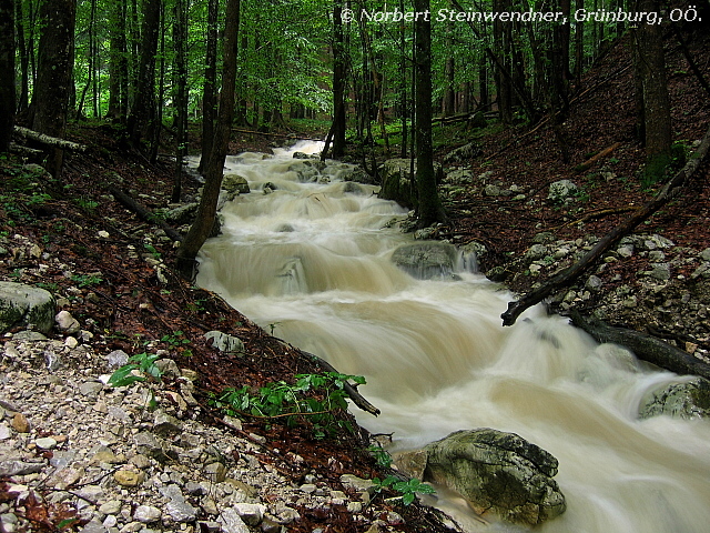 Hochwasser (2)