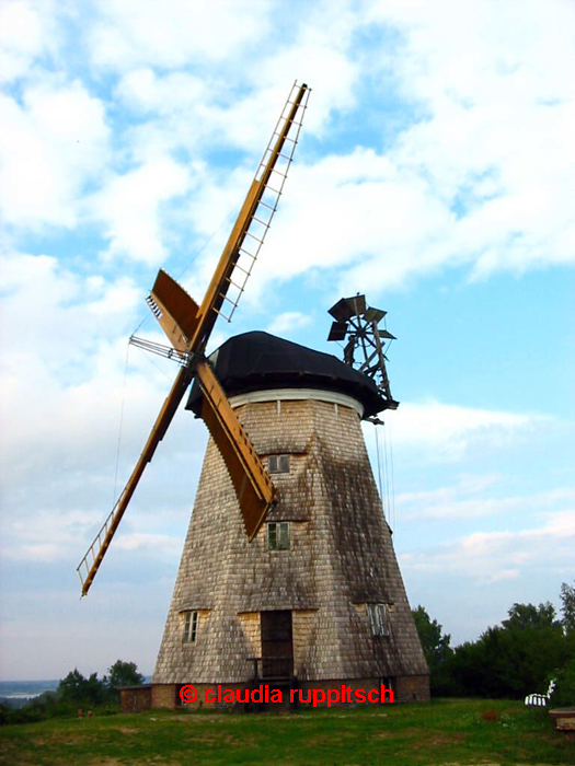 holländerwindmühle usedom 1/2