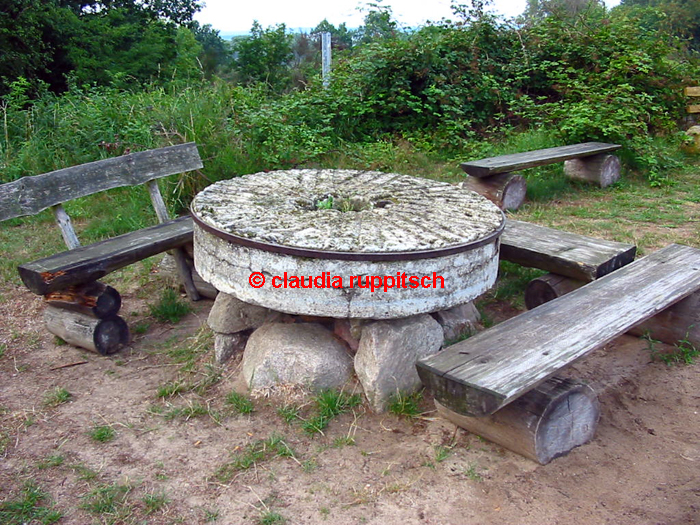 holländerwindmühle usedom 2/2