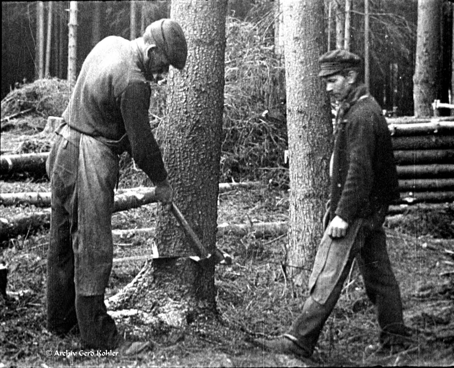 Holz fällen 1930