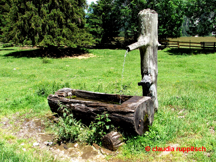 holzbrunnen im leutascher tal