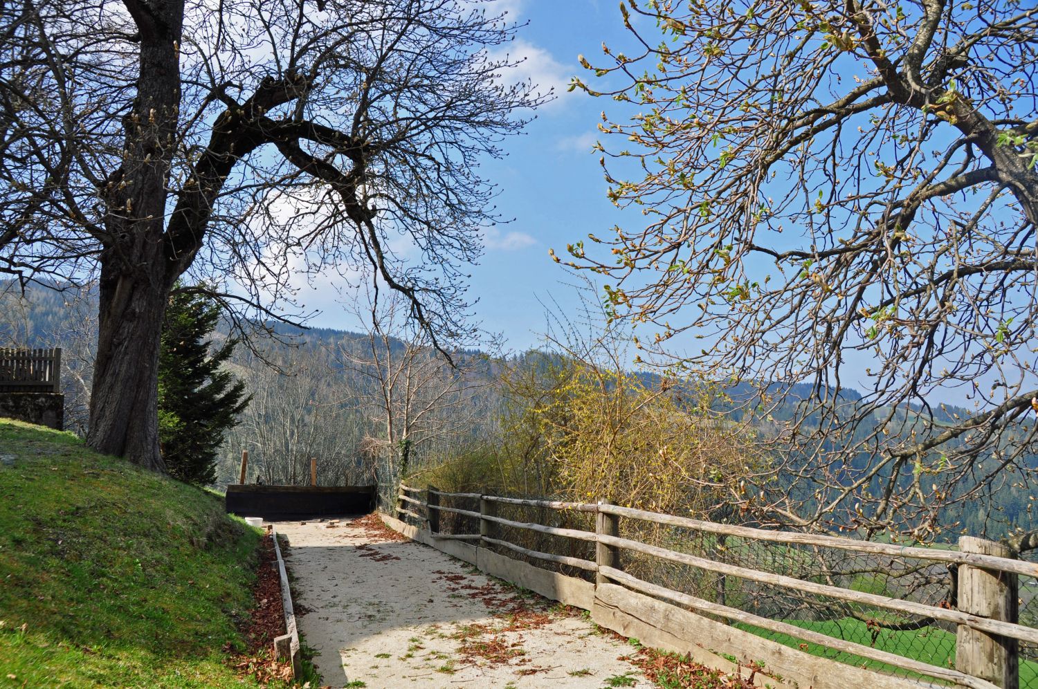 Holzkegelbahn in Hochfeistritz