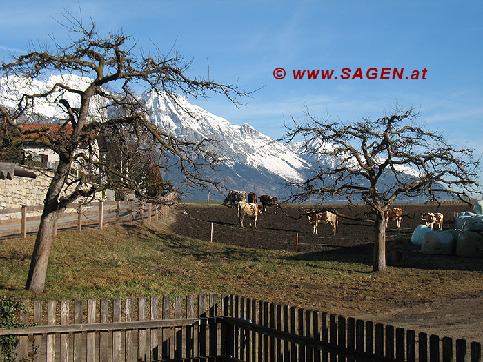 Idylle Aldrans gegen Nordkette, Tirol