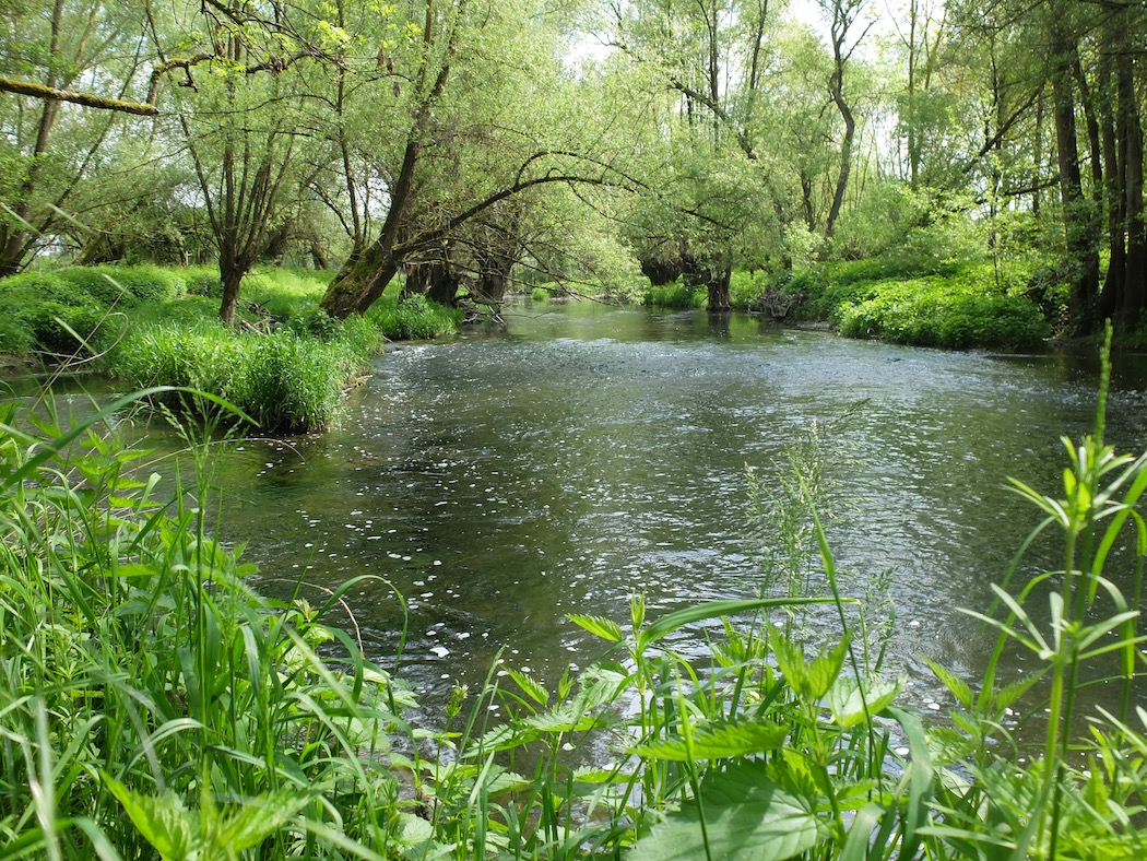 Idyllische Tauber