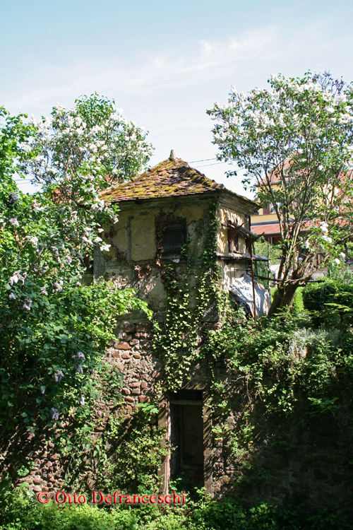 Idyllisches Plätzchen in Obernai