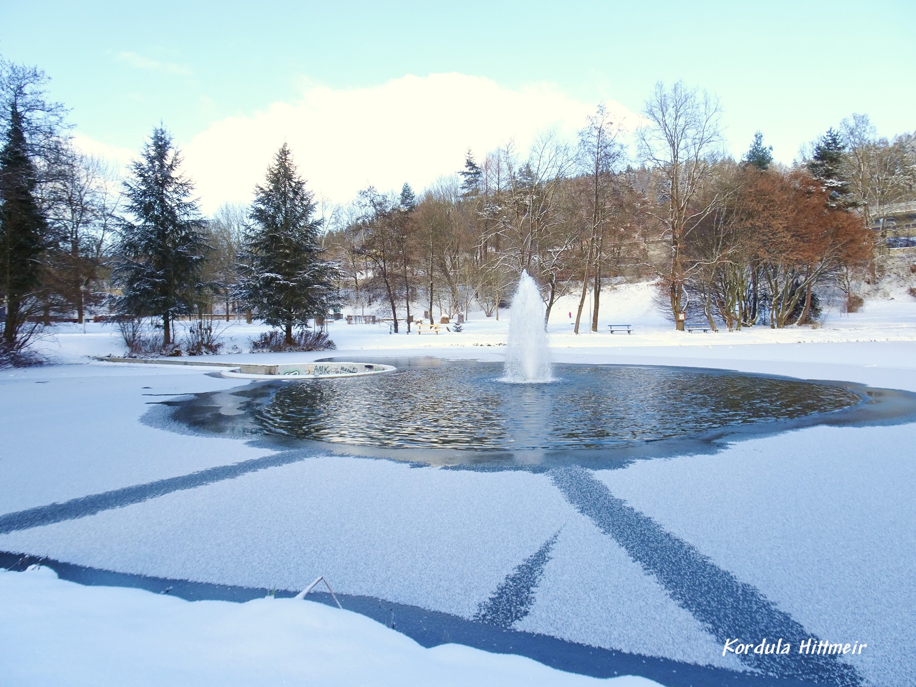 Im Stadtpark