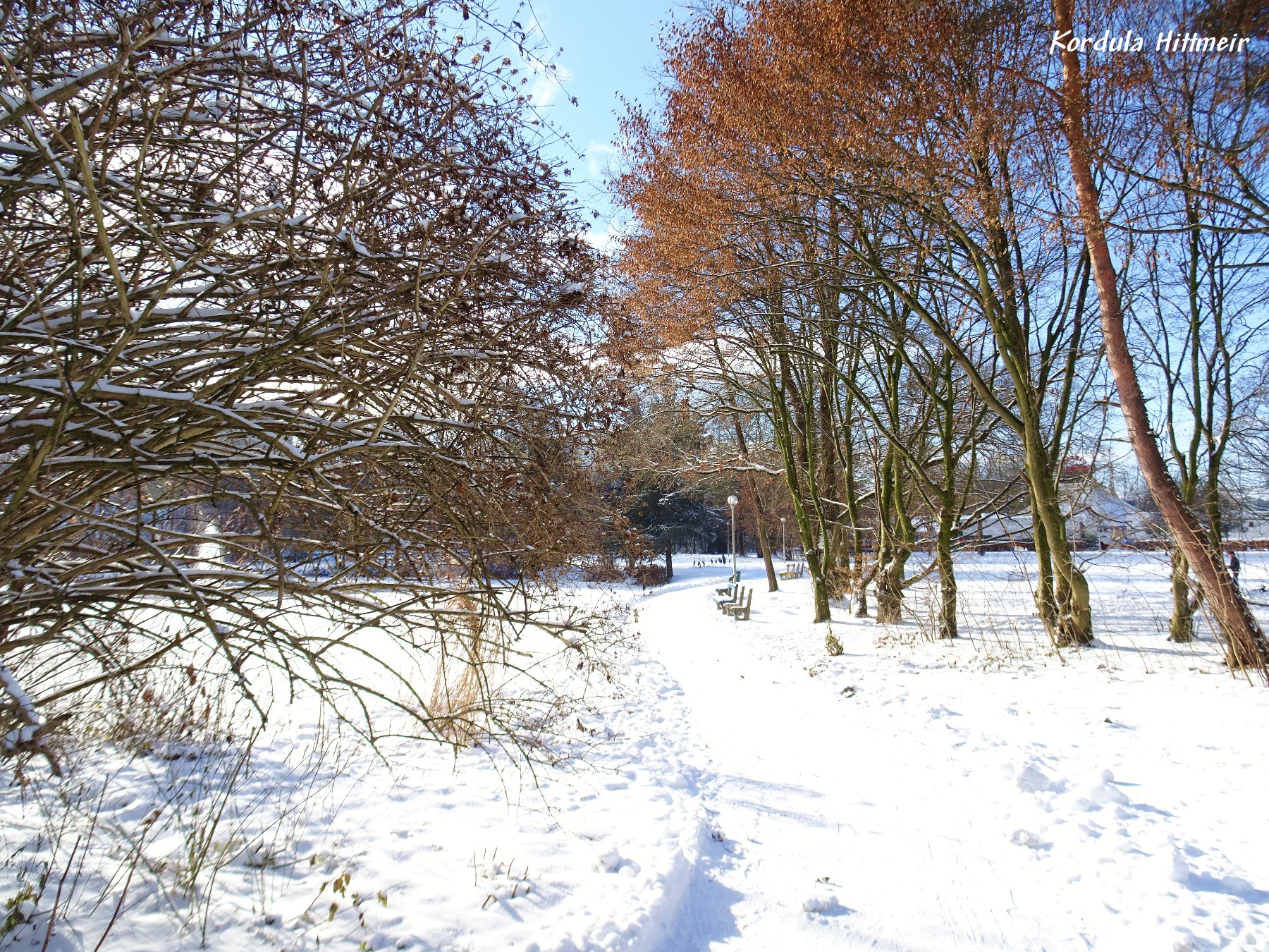 Im Stadtpark