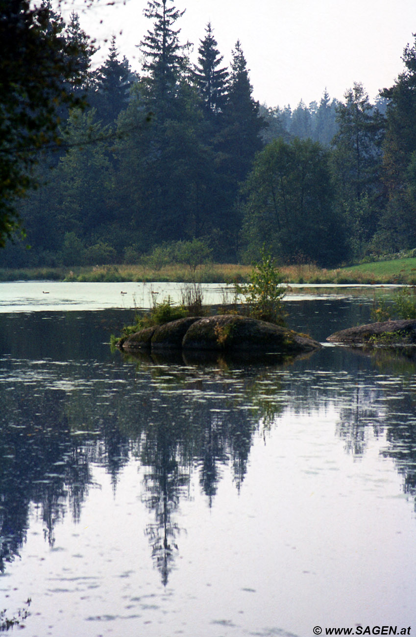 Im Waldviertel