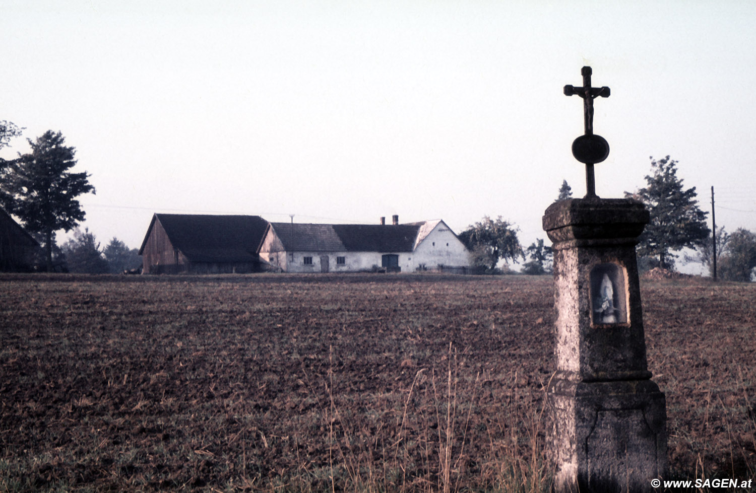 Im Waldviertel