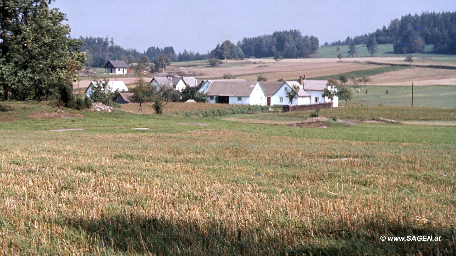 Im Waldviertel