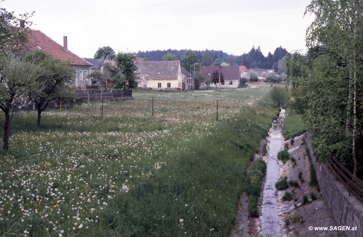 Im Waldviertel