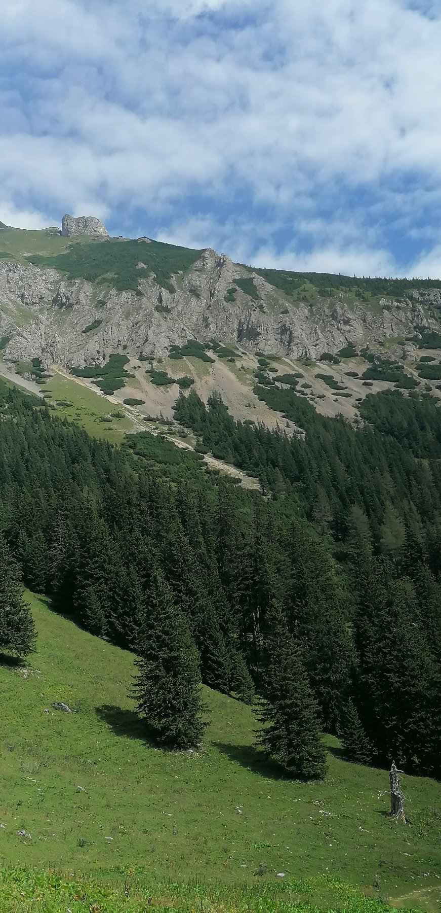 In den Eisenerzer Alpen