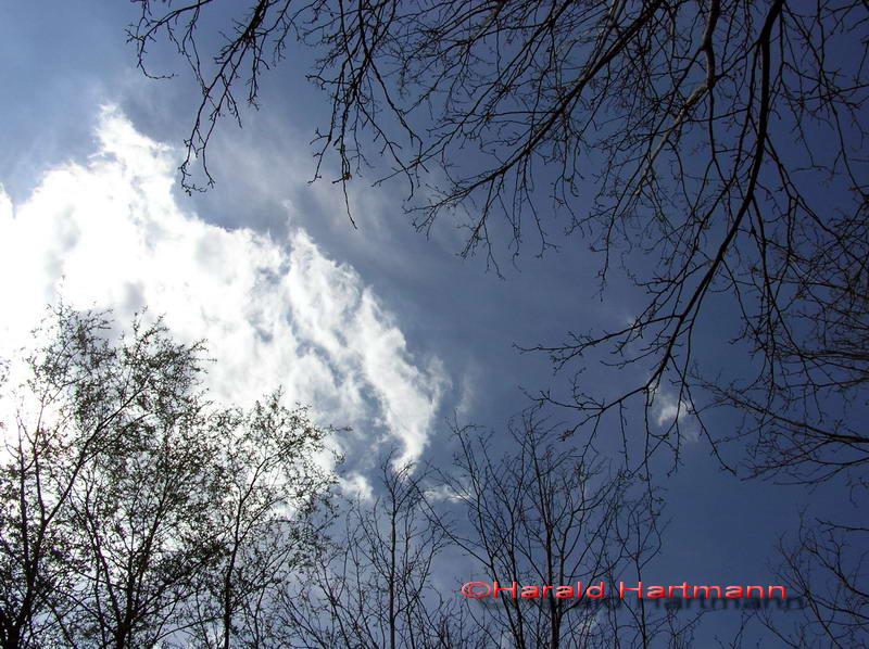 In den Himmel schaun