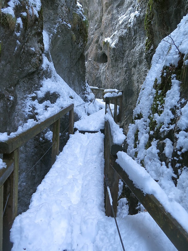 in der Falkenschlucht