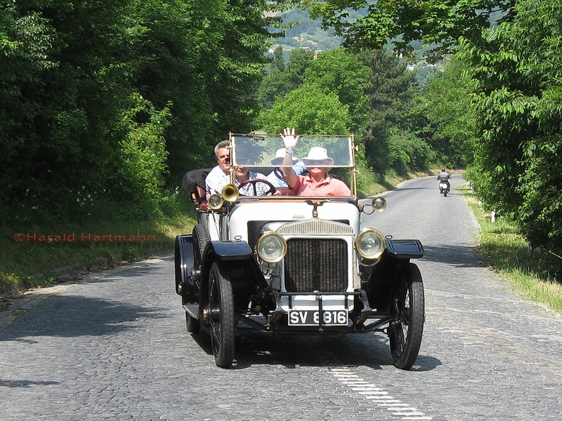 in freier Wildbahn