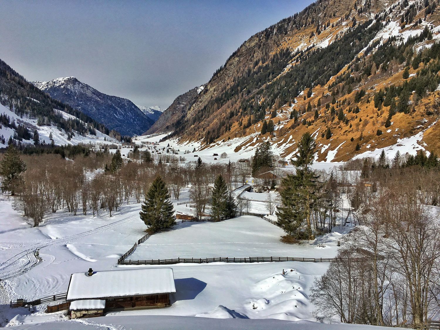 Inneres Valsertal, Blick von der Nockeralm