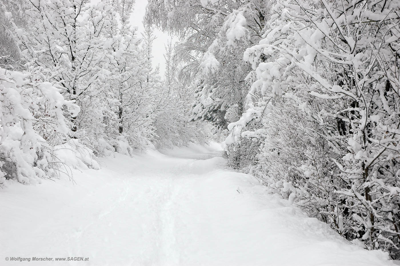 Innsbruck Schneefall