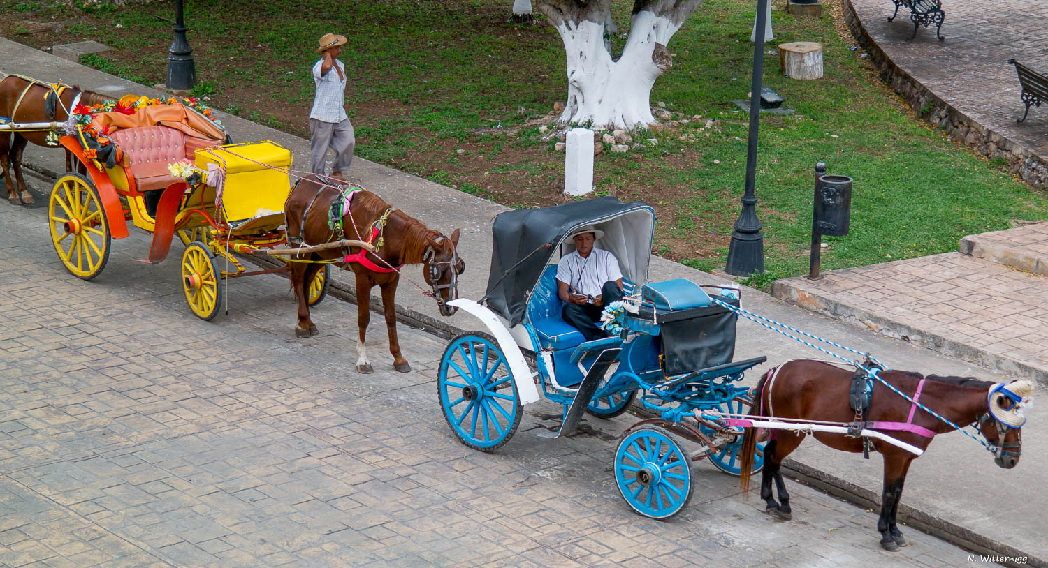 Izamal 1 - Kutschen