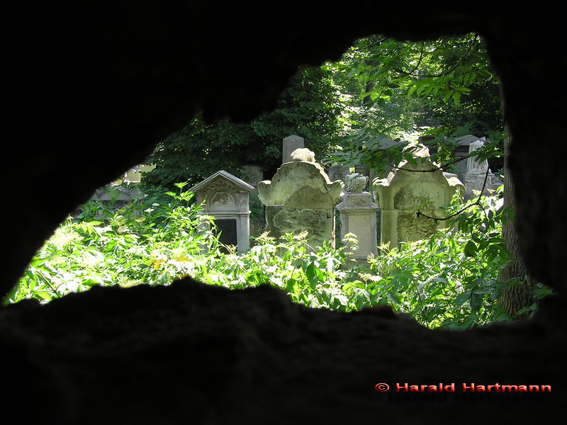 Jüdischer Friedhof 2