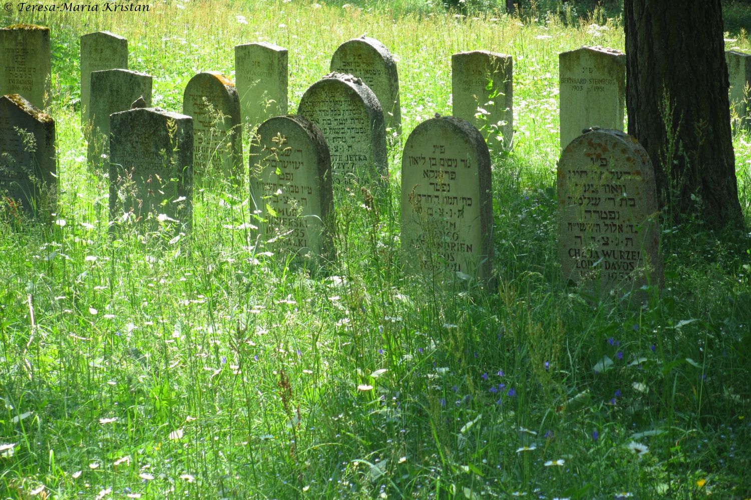 Jüdischer Friedhof, Frauenkirch- Schweiz