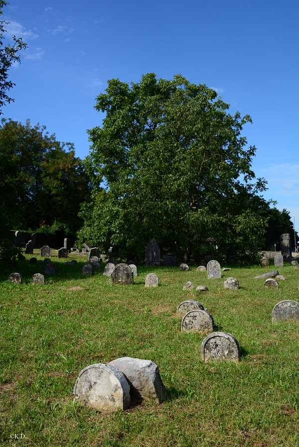 Jüdischer Friedhof in Nova Gorica (Slowenien)