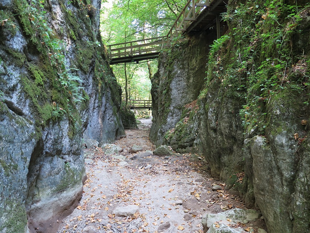 Johannesbachklamm bei Würflach