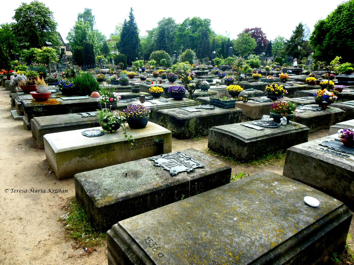 Johannisfriedhof (Nürnberg)