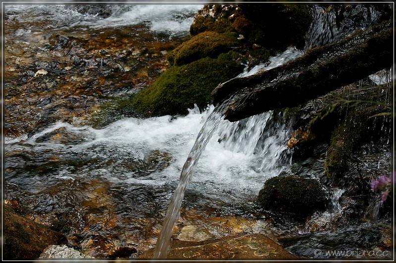 Jungbrunnen - das Bründl