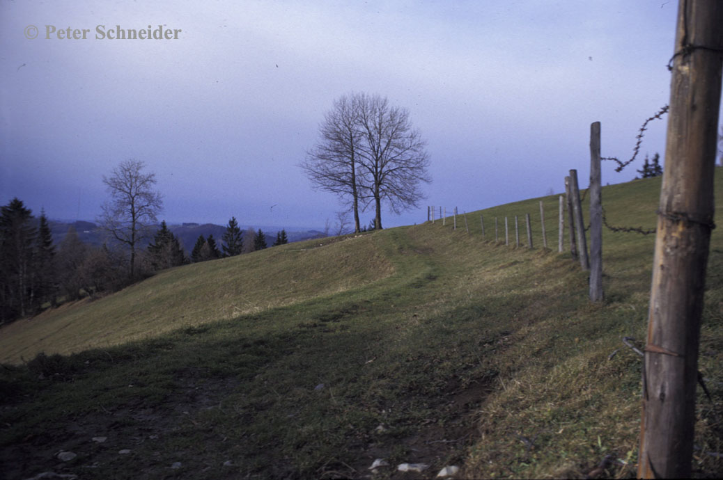 Jungscharalm, Losenstein