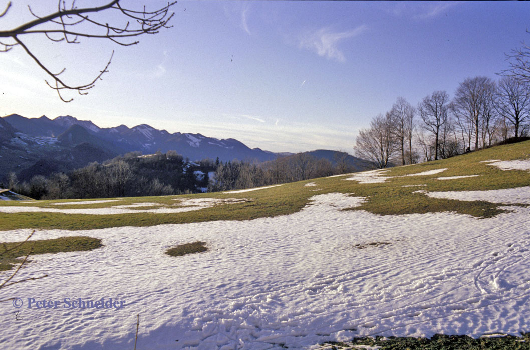 Jungscharalm, Losenstein