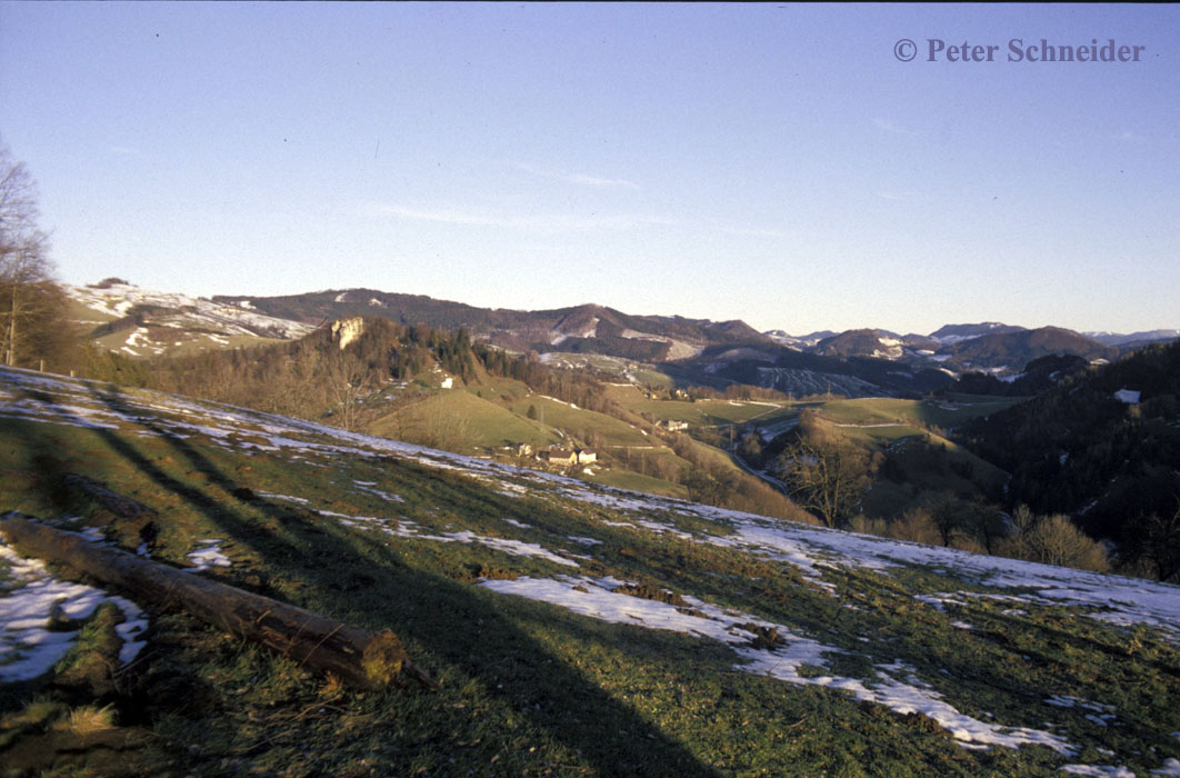 JUngscharalm, Losenstein