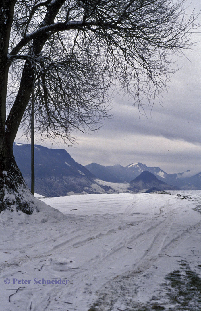 Jungscharalm, Losenstein