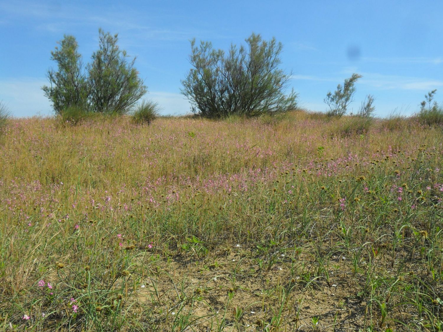 Küstenlandschaft