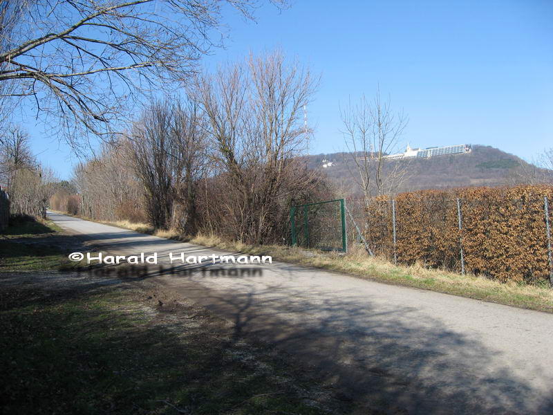 Kahlenbergbahn - Station Grinzing