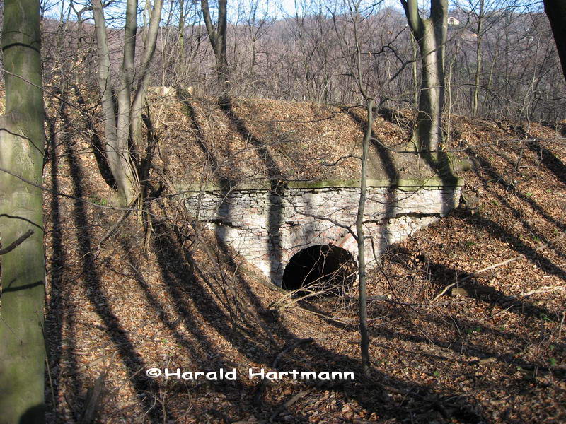 Kahlenbergbahn - Viadukt