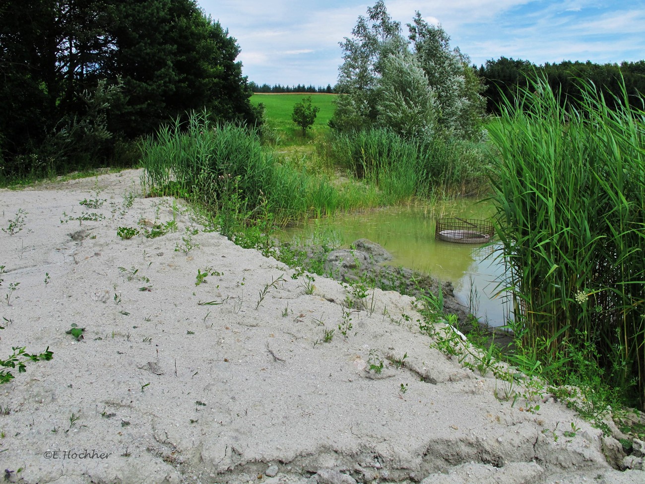 Kaolinabbau in Kriechbaum