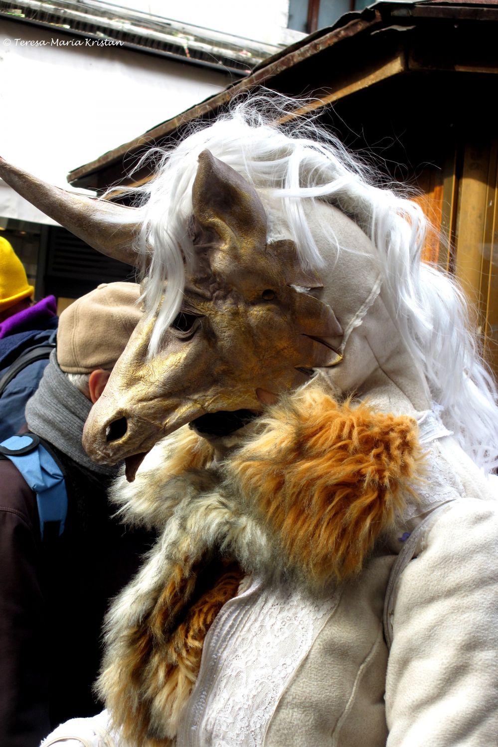 Karneval in Venedig 2013