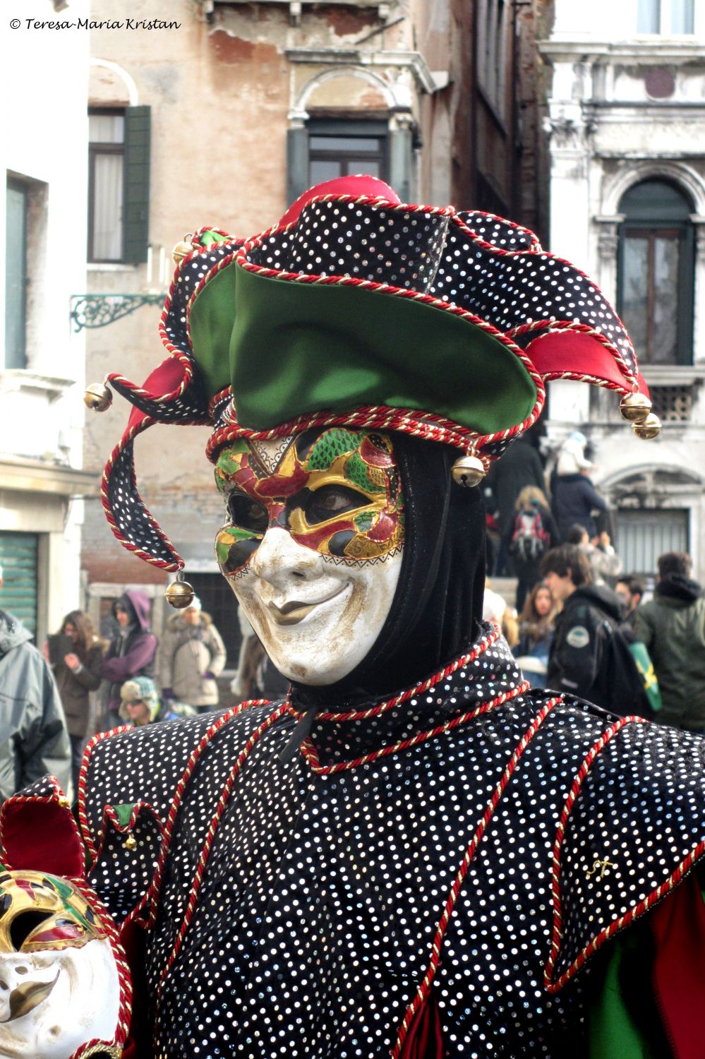 Karneval in Venedig 2013