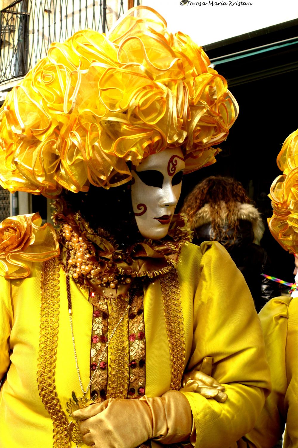 Karneval in Venedig 2013