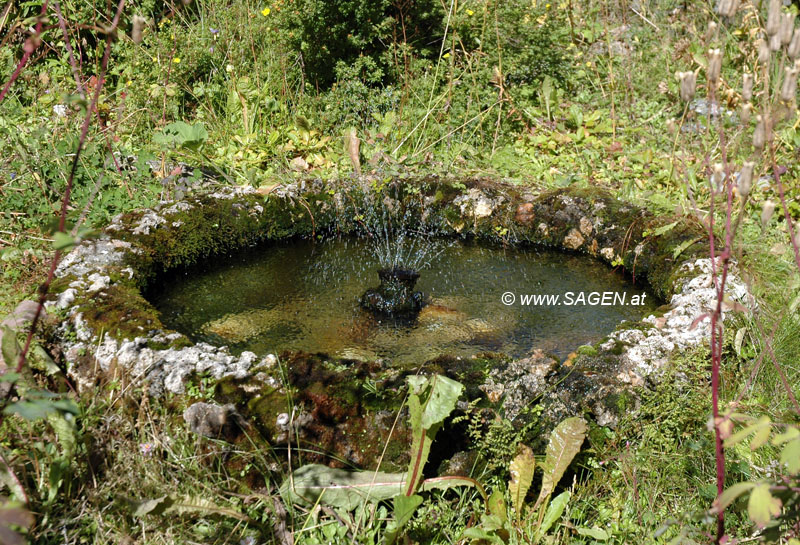 Karthaus - Brunnen