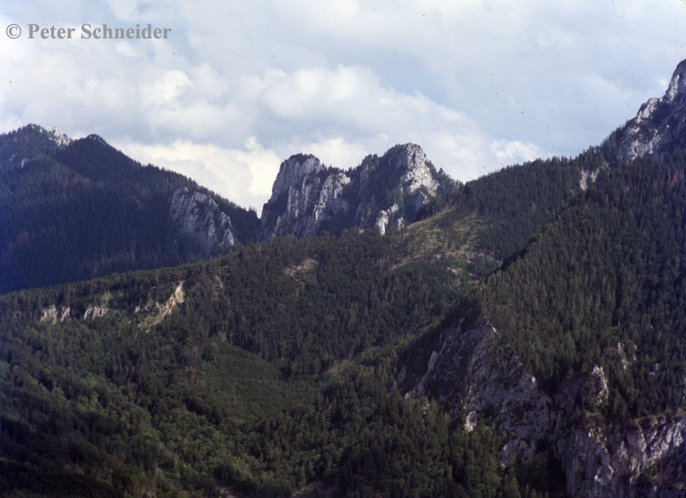 Katzenstein